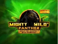 Wild tiger